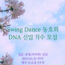 대구스윙댄스DNA★체크&나다 57기신입생모집(지터벅과정) - 신청인원 부족으로 폐강합니다 이미지