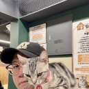 집사의하루 연남점 이미지