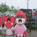 유영농장 이미지