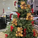 둔산중로 | 에이블리에서 둔산동 카페 ssaw케이크 예약하기