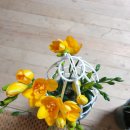 원복농장 이미지