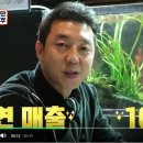 갑부조경 이미지