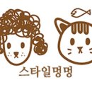 스타일 멍멍 이미지