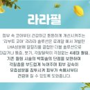 일산주엽톡스앤필의원 이미지