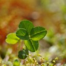 아이디어 대전 이미지