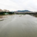 탄천변(탄천우안) 이미지