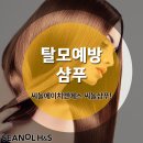 씨놀에이치앤에스 네이버블로그