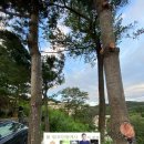 버디공인중개사사무소 이미지