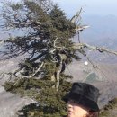 너랑나랑 이미지