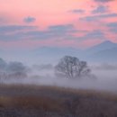 삼일절 / 靑山 손병흥 이미지