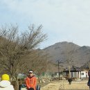 산해수석