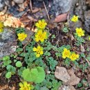 평내호평역 이미지