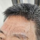 수원-0973 네이버블로그