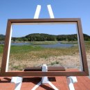 죽정습지 이미지