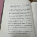 톰소여의모험 이미지