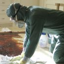 에드 해리스 카카오 검색결과