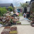 종일농원 이미지