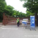 20120606-시화호(안산) 갈대 습지 이미지