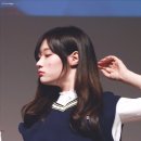 예쁘다 개 이미지