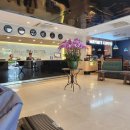 호텔 비엔 | 베트남 호치민 비엔동 호텔 조식 후기