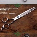 피닉스애견미용 이미지