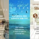 비스타탑공인중개사사무소 이미지