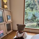 호근남로 | 아기랑 제주 서귀포 감성 숙소 후기｜육퇴 후에도 좋았던 곳