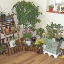 대원보건진료소 이미지