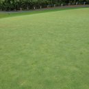 두선생 골프 아카데미 이미지