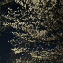 다온심리상담센터 | [일산심리상담] 마음톡 심리상담센터 상담 후기｜나란 사람이란..🤔