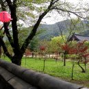 솔바람사이길 이미지