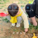 은진농장 | [서울 강남]🌿 설렘 듬뿍! 강남 도심 속 농장체험, 둘째까지 웃게 한 은진농장 방문기