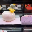 서초중앙로24길 27 (1) | 서초 교대 브런치 맛집 베이커리 카페 추천 | 파리크라상 교대역점