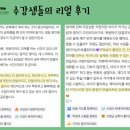 조이잉글리시영어학원 네이버블로그