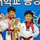 금성체육도장 이미지