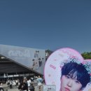 이삭장터 | NCT 위시 콘서트 선물 받아 다녀온 후기 (Feat. 실물, 스탠딩 후기)