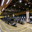 윙스피트니스 이미지