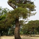 물야초등학교 이미지