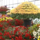 거창-신원-6 이미지