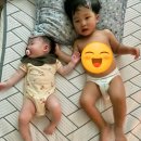 (주)혜성환경