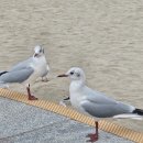 당골1길 이미지