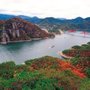 단양팔경펜션민박 이미지