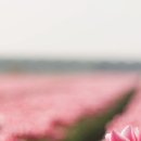 동림빌딩 이미지