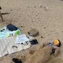 원빅 | 쉘리 비치(beach)에서 스노쿨링