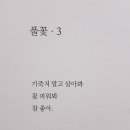 풀꽃3