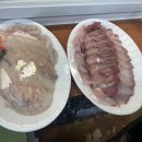 한밭 동물병원 이미지