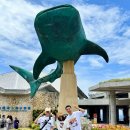 무지개해양수족관 | 오키나와 츄라우미 수족관 완벽 공략법: 입장권, 돌고래쇼 시간, 오픈런 꿀팁까지!