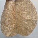 써브웨이 | 서브웨이 타코샐러드 내돈내산후기 써브웨이 존맛탱 조합 꿀팁공유