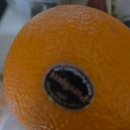 와싸다장터 이미지