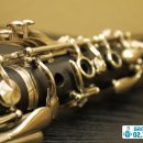 클라리넷 집중레슨 이미지